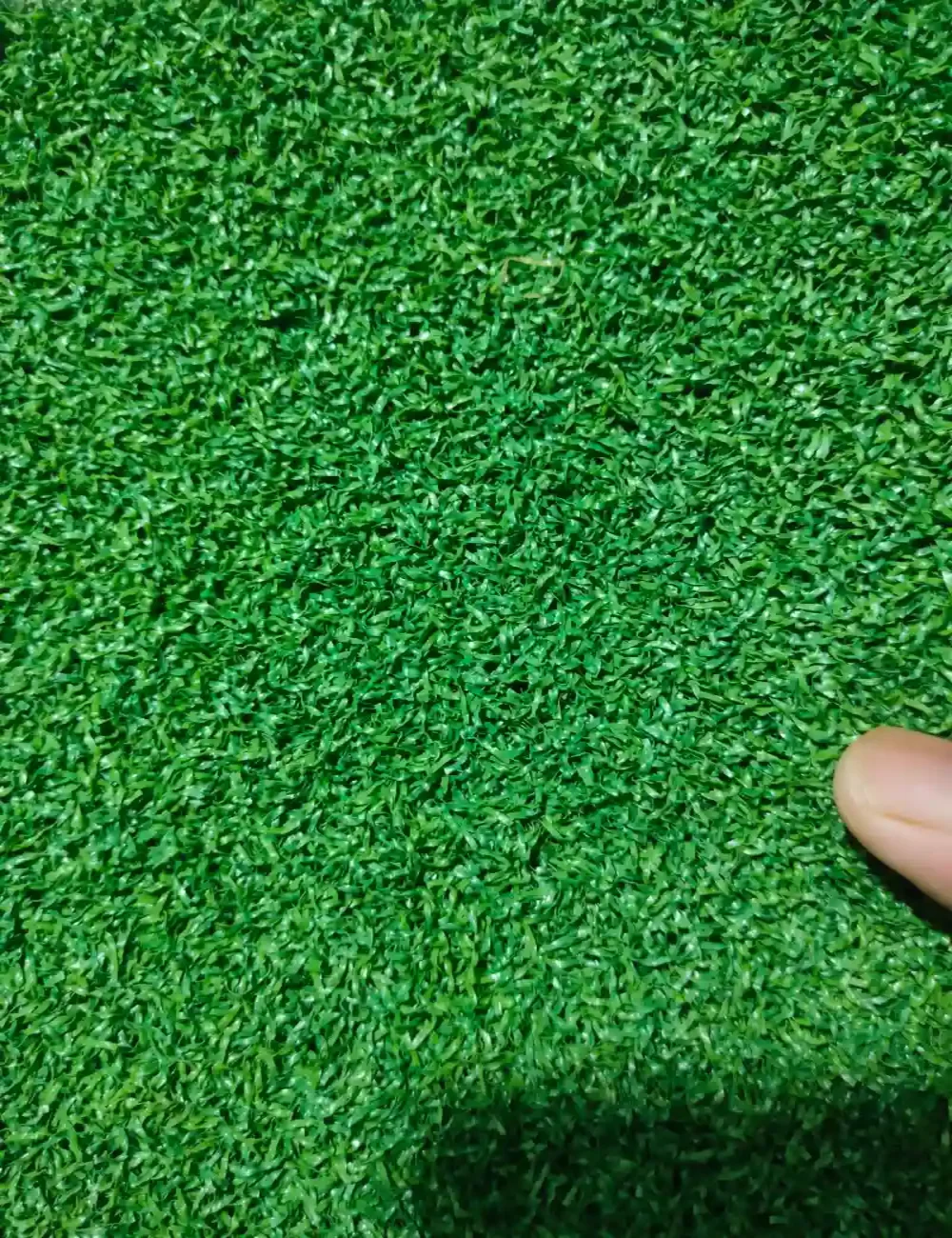Artificial Grass