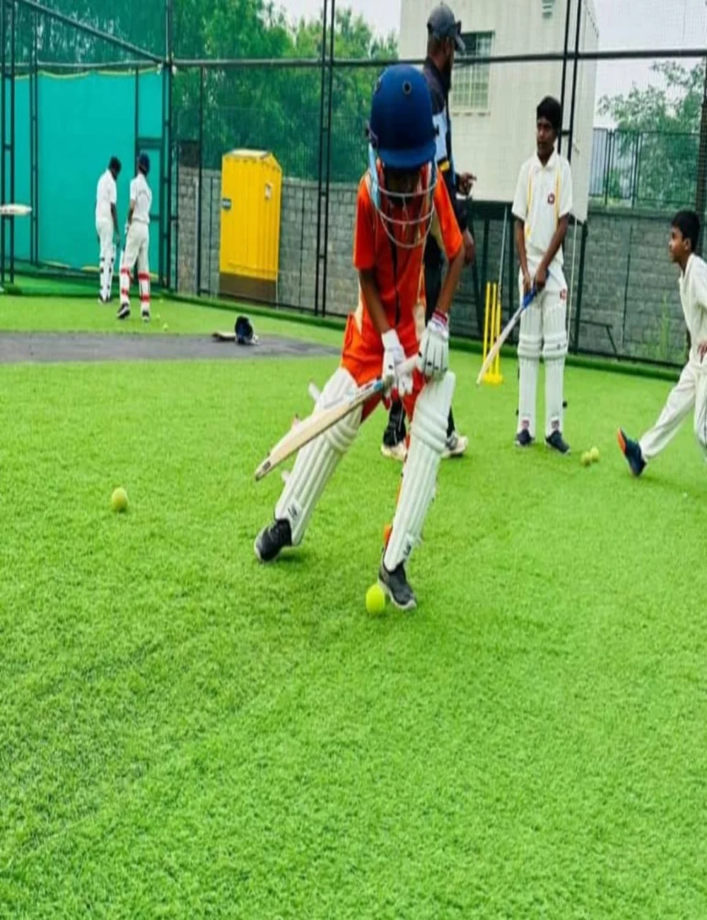 Cricket Practice Nets