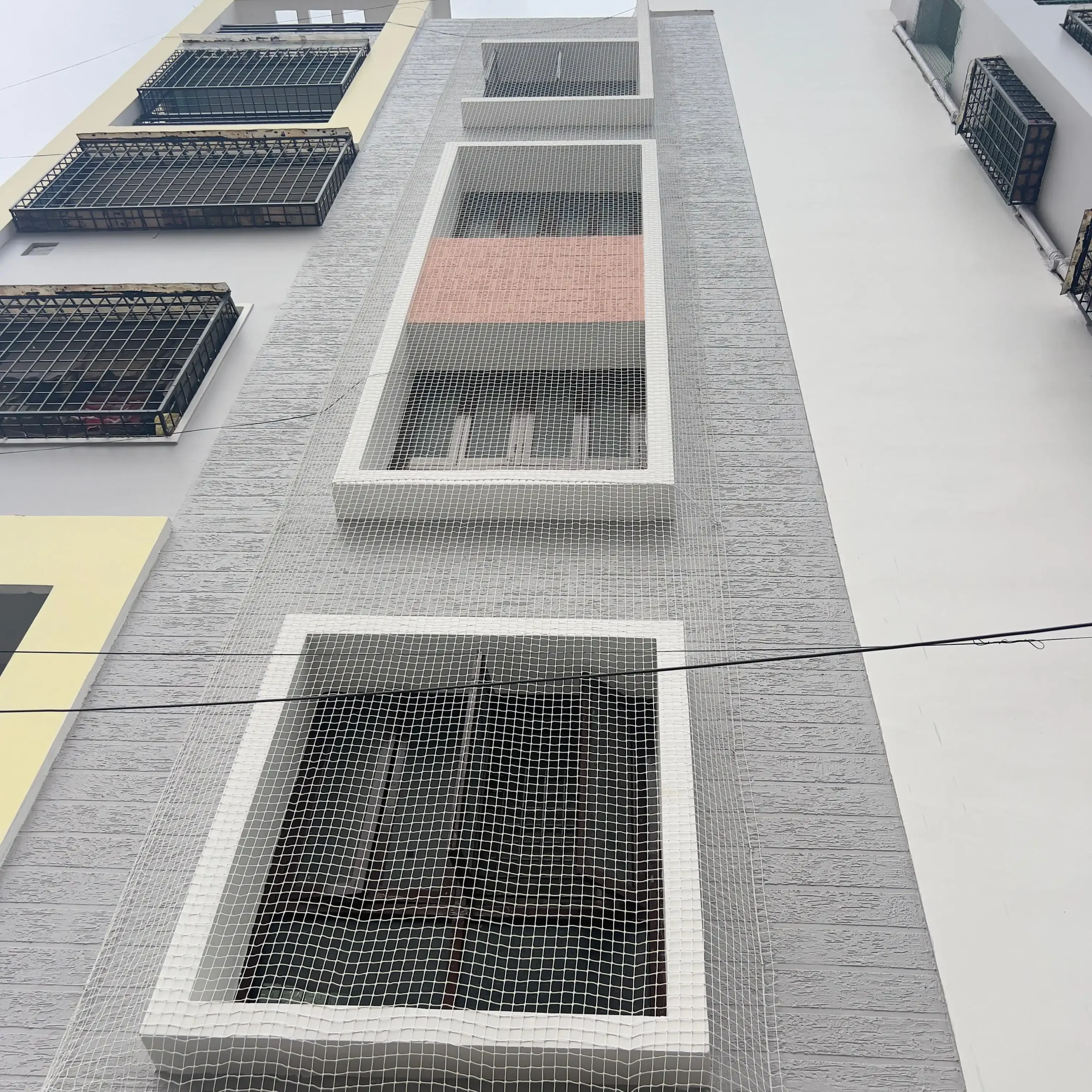 Bird Net for Building