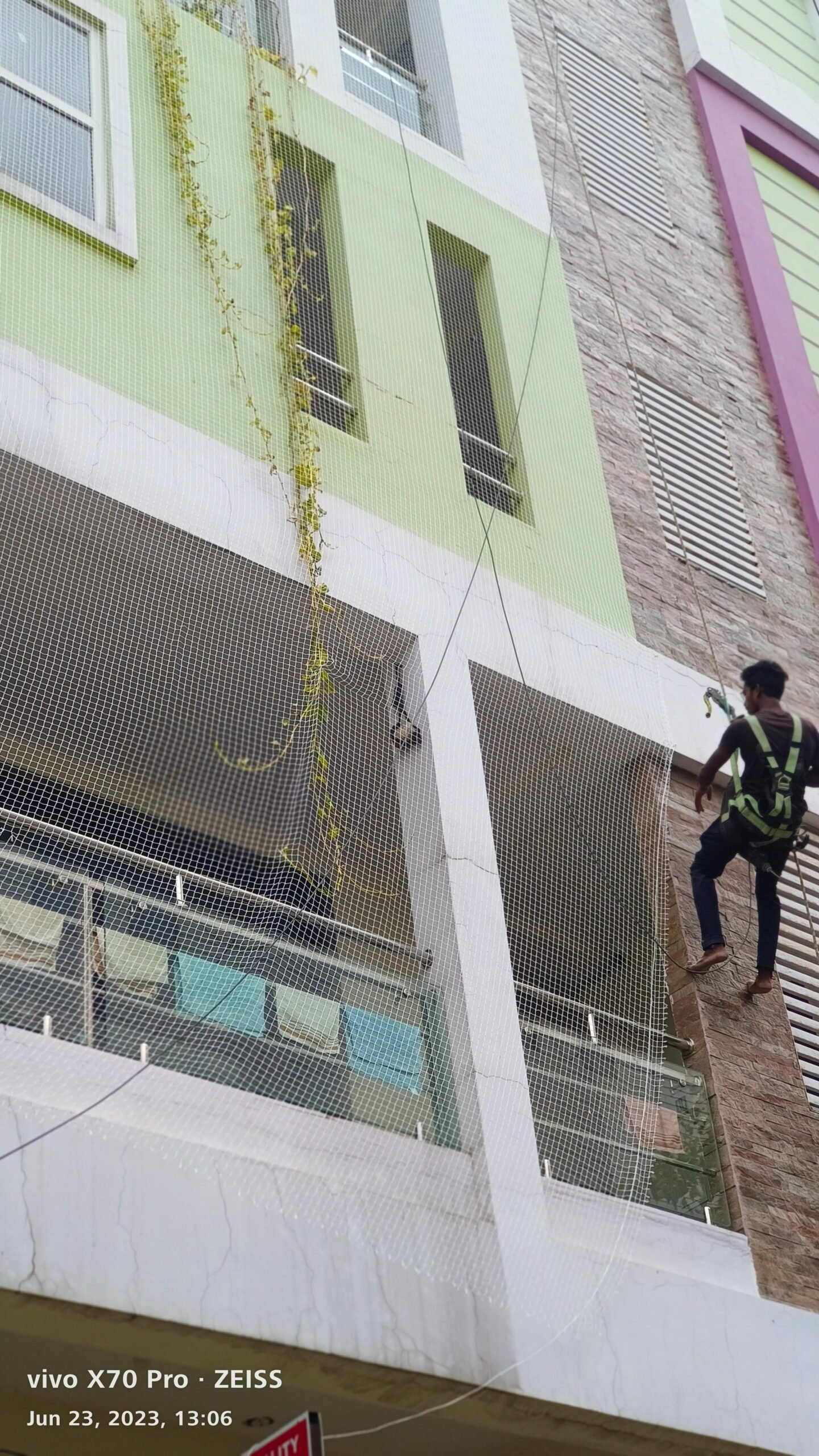 Pigeon Net for House