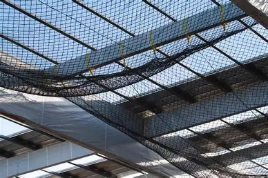 Pigeon Net for Industry