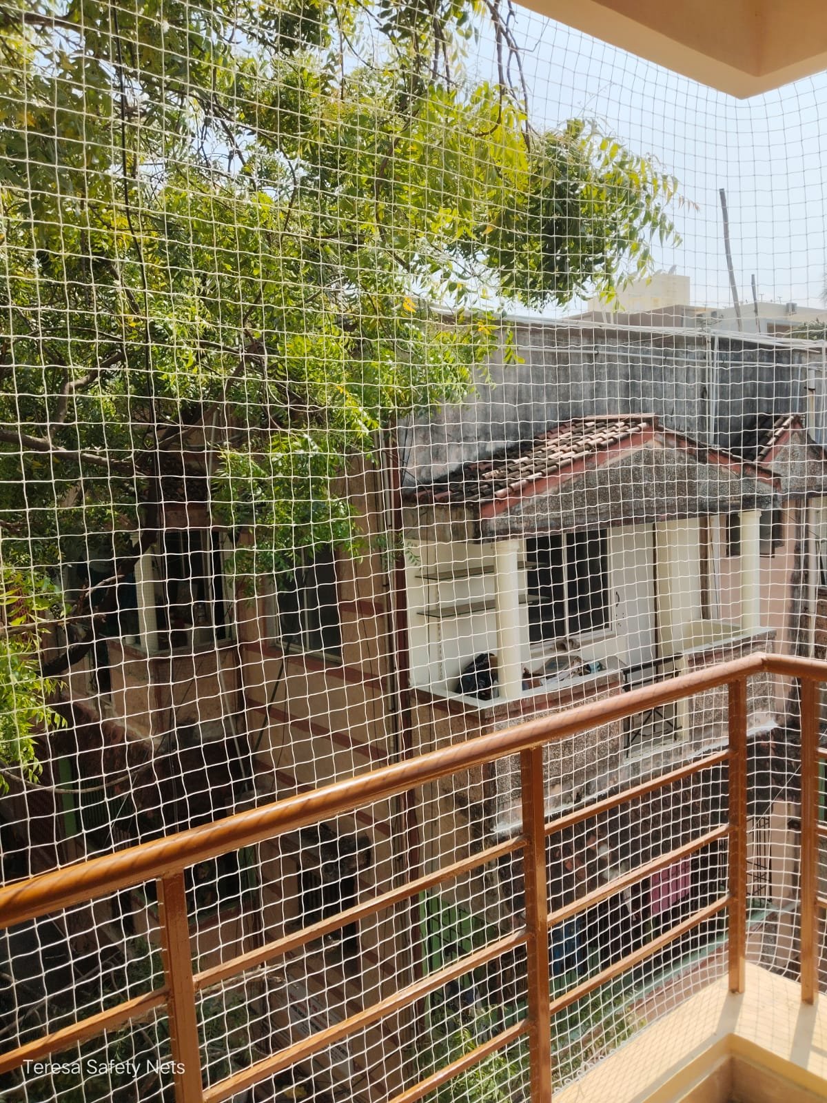 Teresa Safety Nets