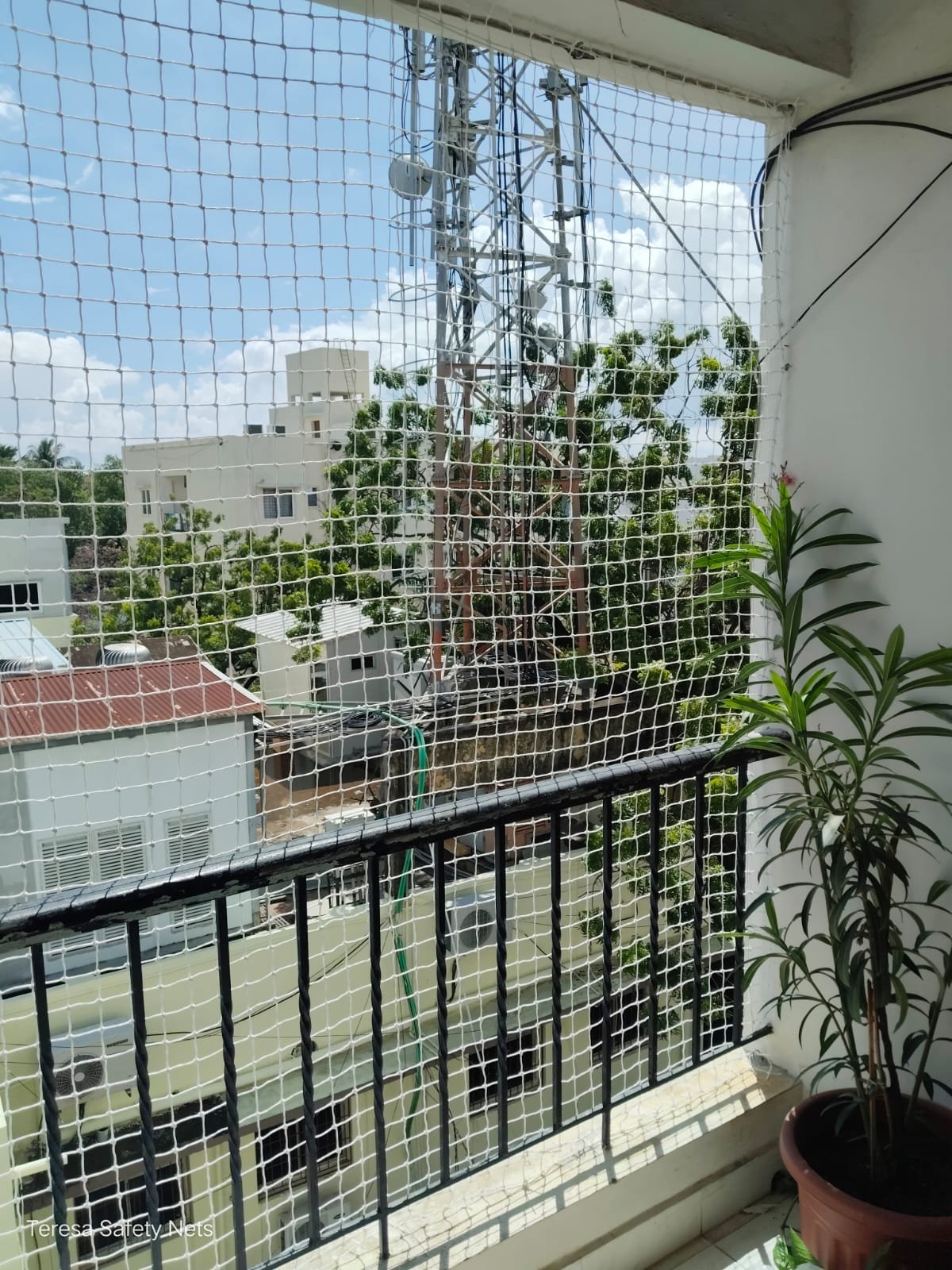 Pigeon Net